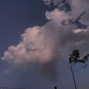 仙逆在线观看全集完整
