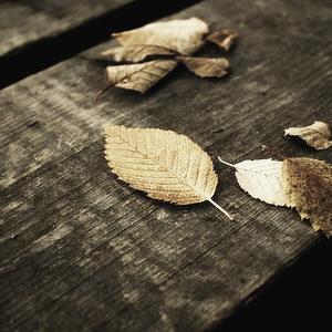 仙逆在线观看全集完整
